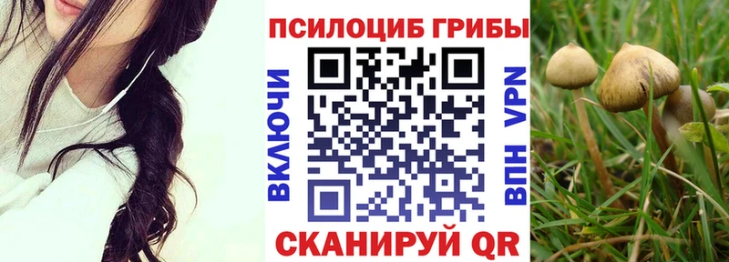 Галлюциногенные грибы Magic Shrooms  как найти закладки  Усть-Кут 